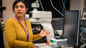 Recent research reveals neuro-behavioural changes associated with exposure to diesel exhaust particles